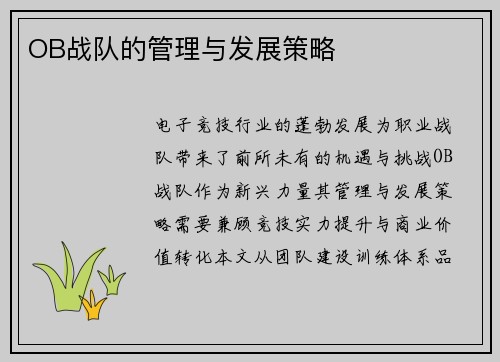 OB战队的管理与发展策略